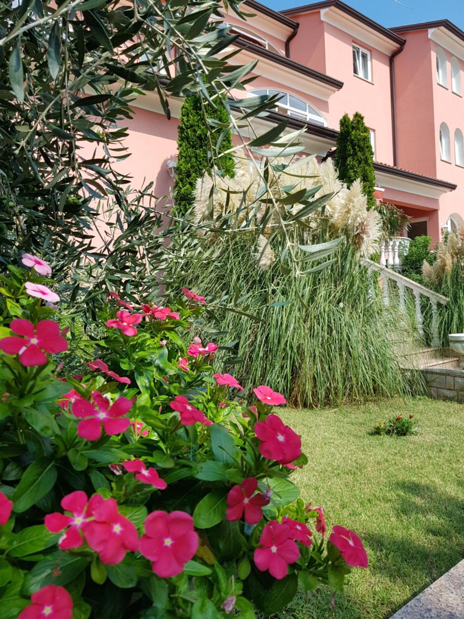 Apartments And Rooms Villa Chiara Krnica Zewnętrze zdjęcie