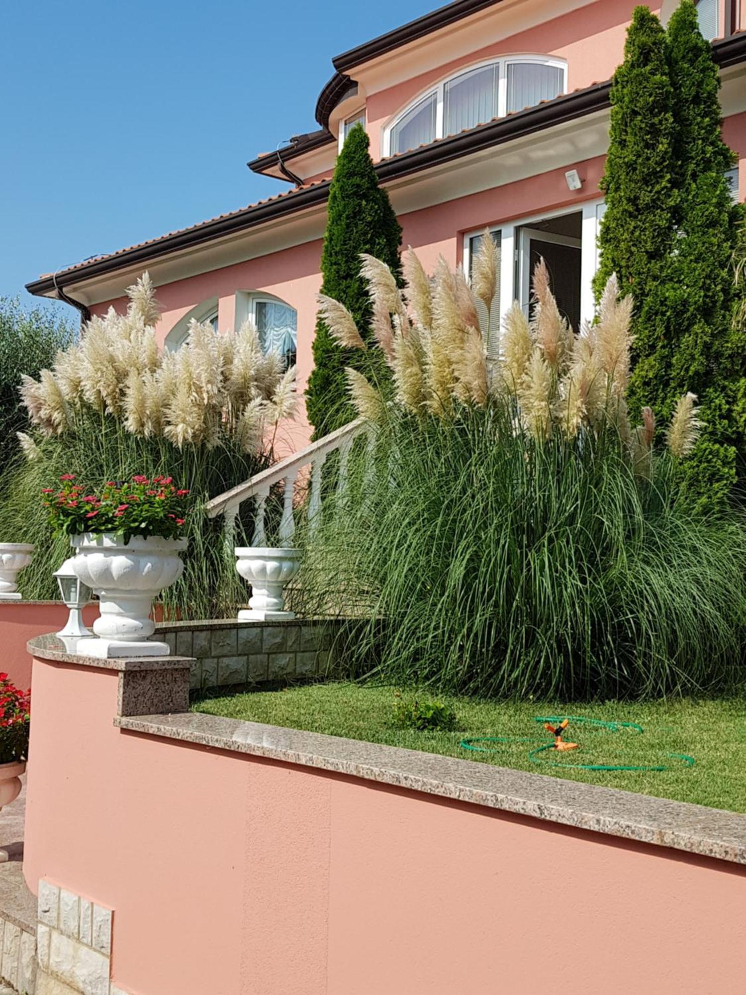 Apartments And Rooms Villa Chiara Krnica Zewnętrze zdjęcie