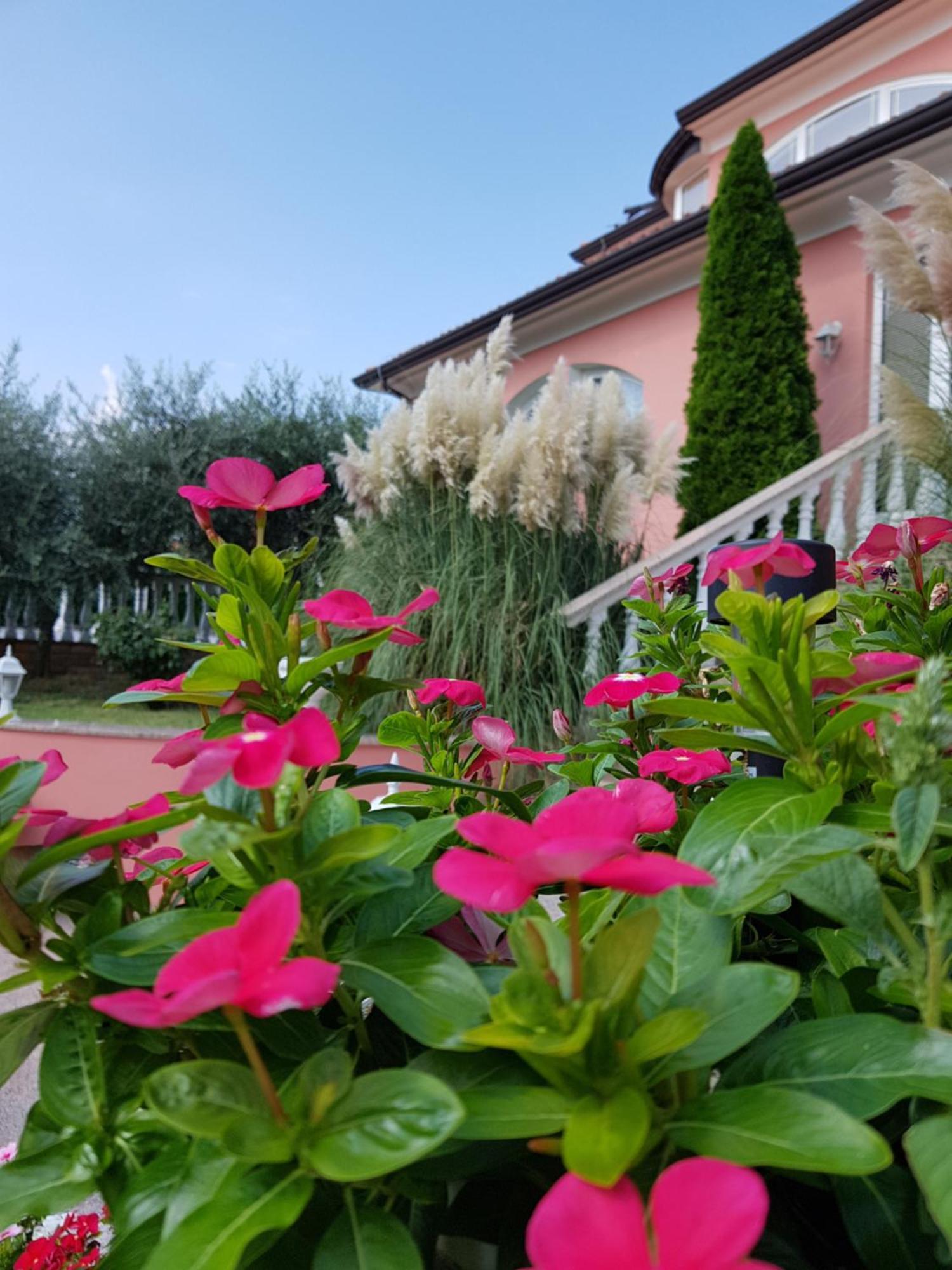 Apartments And Rooms Villa Chiara Krnica Zewnętrze zdjęcie